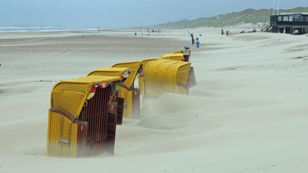 Beach House Sea-Esta Egmond aan Zee Exterior photo